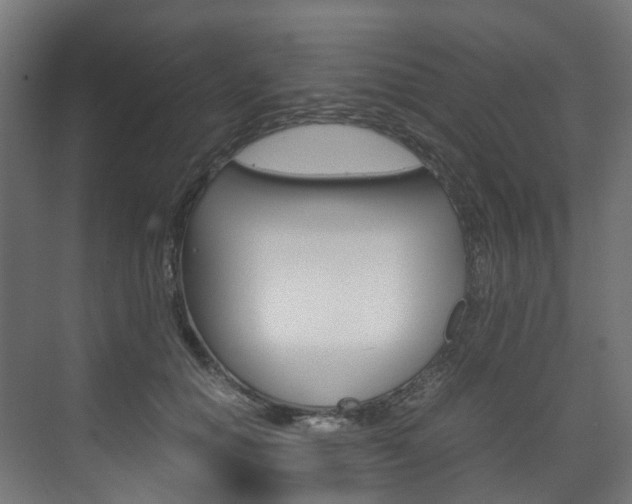 X0000072500654200607140937