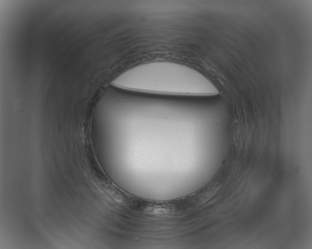 X0000072500655200607140937
