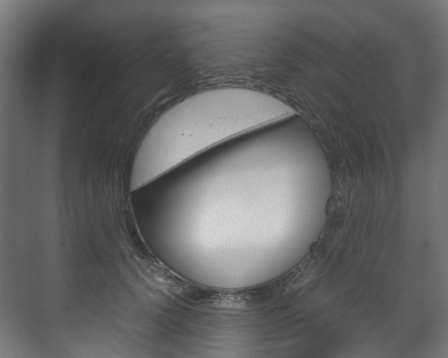 X0000072500656200607140937