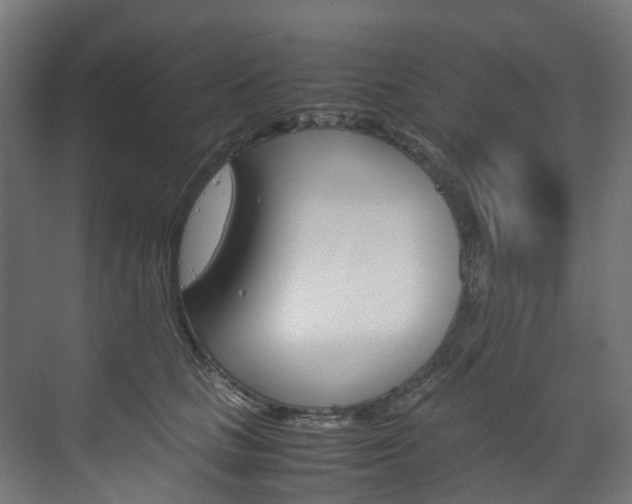 X0000072500661200607140937
