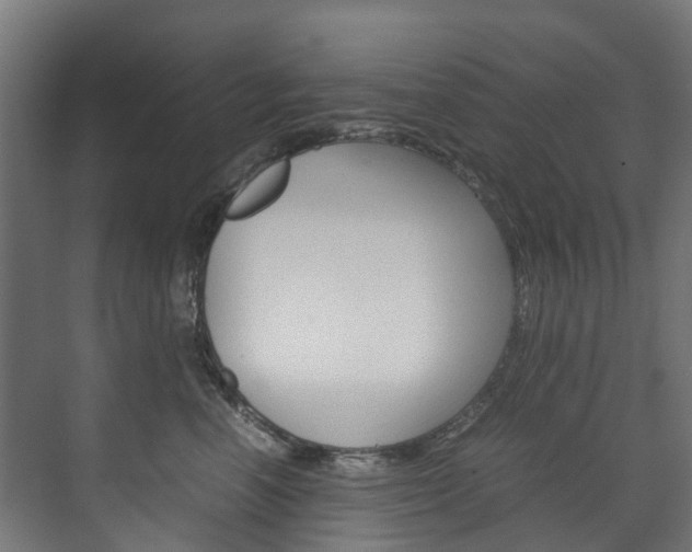 X0000072500666200607140938
