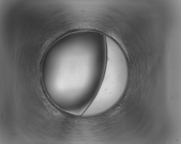 X0000072500673200607140937