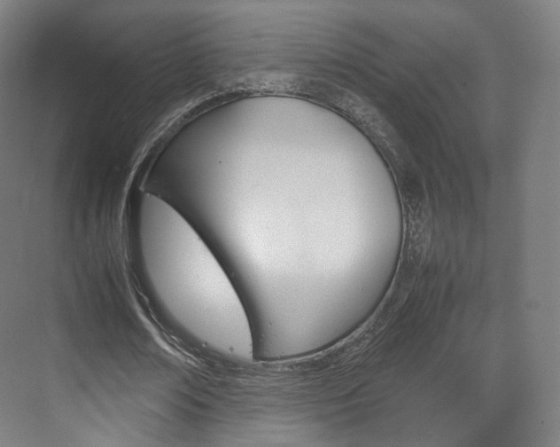 X0000072500674200607140937