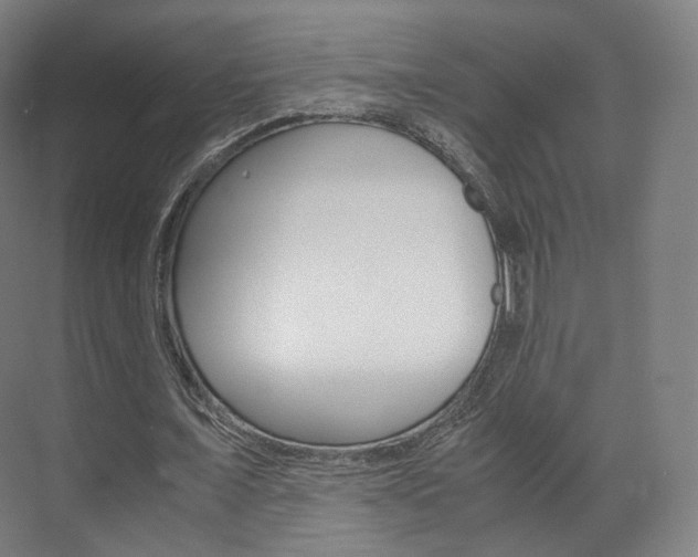 X0000072500675200607140937