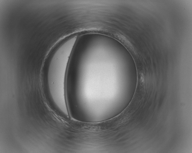 X0000072500676200607140937