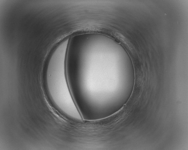 X0000072500677200607140937