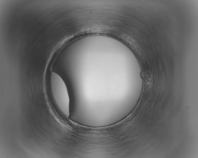 X0000072500678200607140937