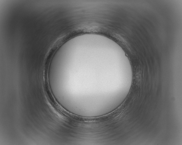 X0000072500686200607140937