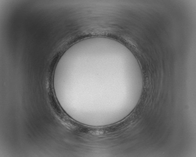 X0000072500687200607140937