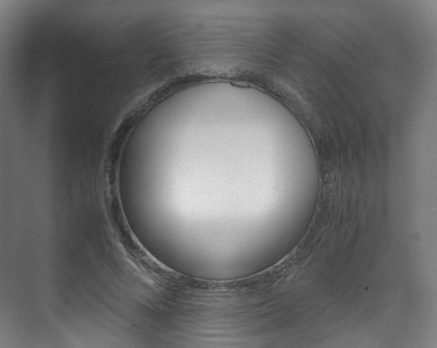 X0000072500688200607140937