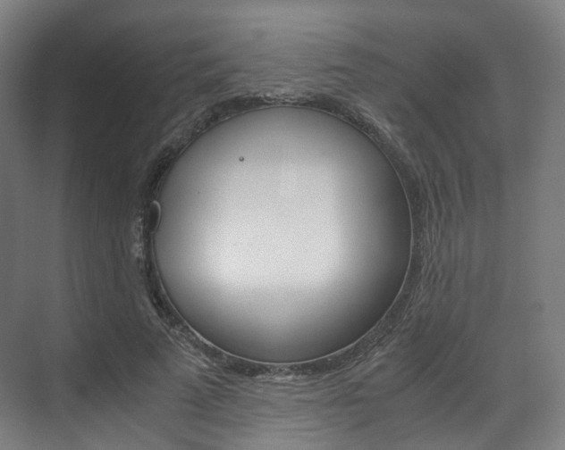 X0000072500689200607140937