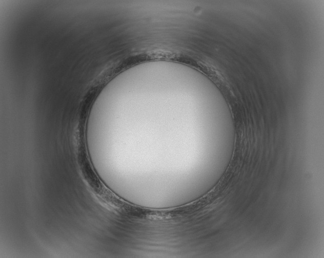 X0000072500690200607140937