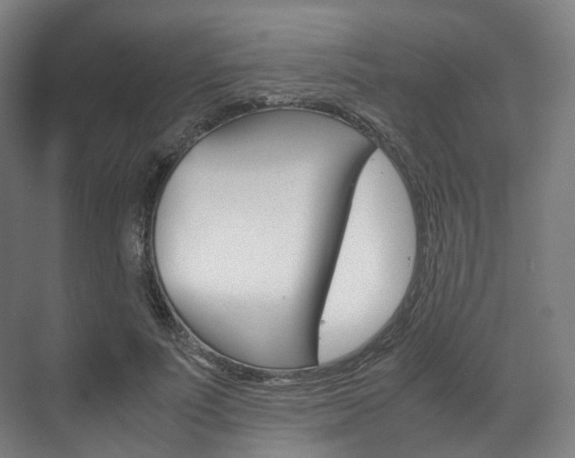 X0000072500691200607140937