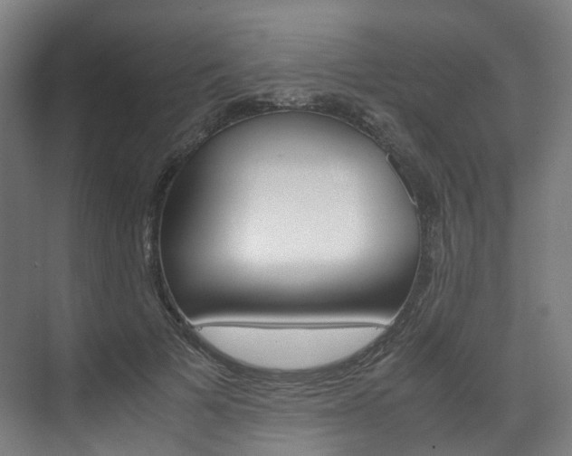 X0000072500697200607140936