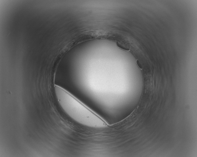 X0000072500700200607140936