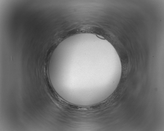 X0000072500703200607140936