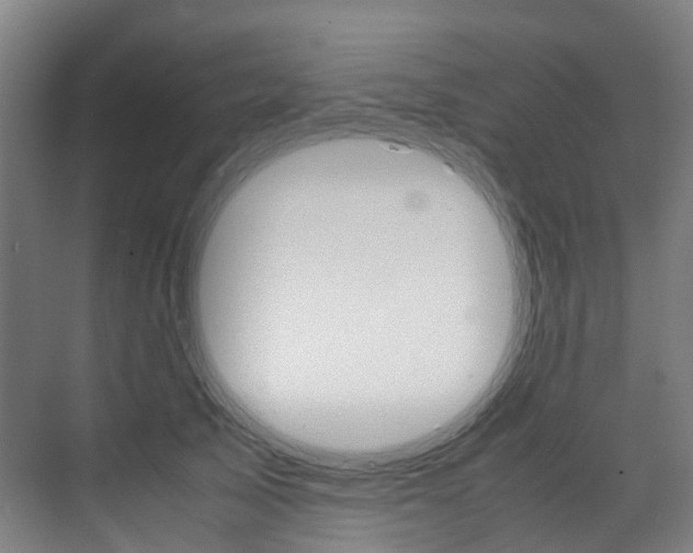 X0000072500705200607140936