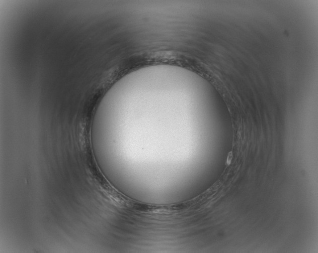 X0000072500708200607140936