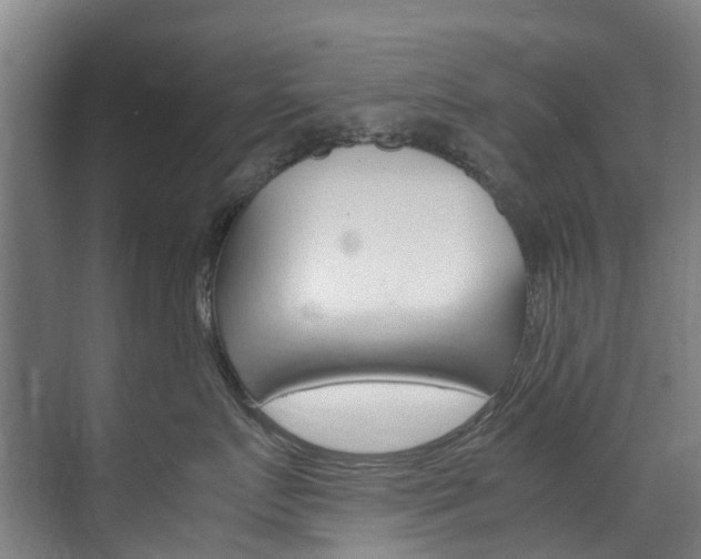 X0000072500719200607140936