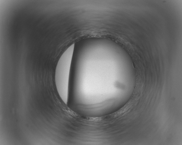X0000072500720200607140936