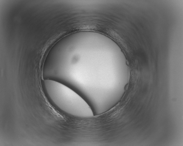 X0000072500721200607140935