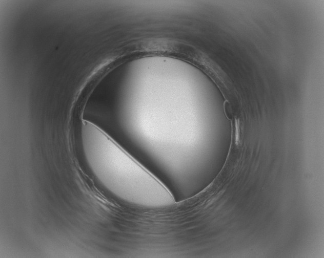 X0000072500723200607140935