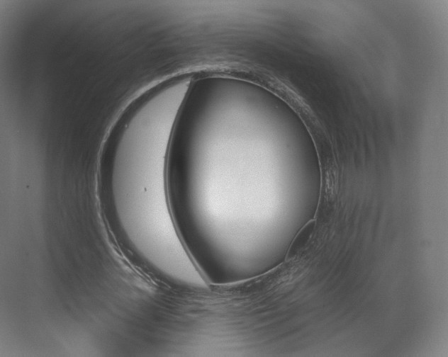 X0000072500724200607140935