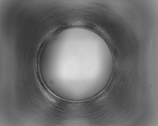 X0000072500725200607140935