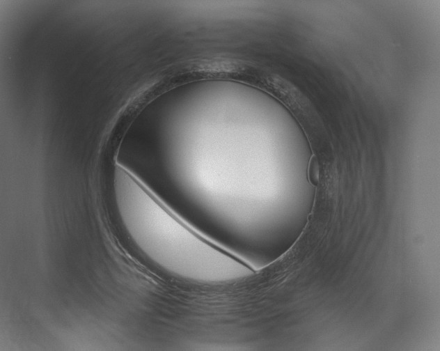 X0000072500731200607140935