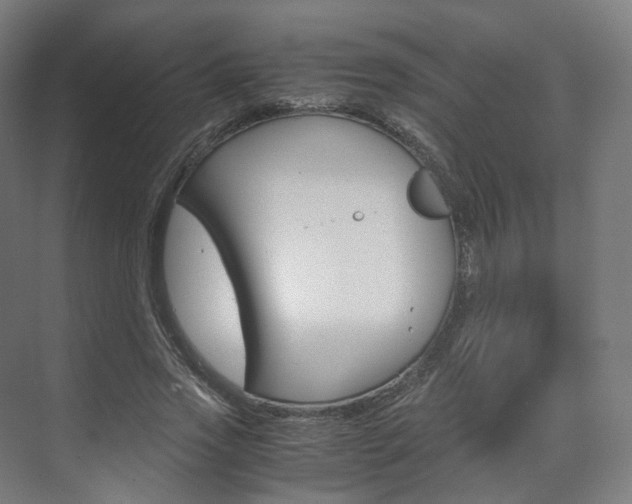 X0000072500733200607140935