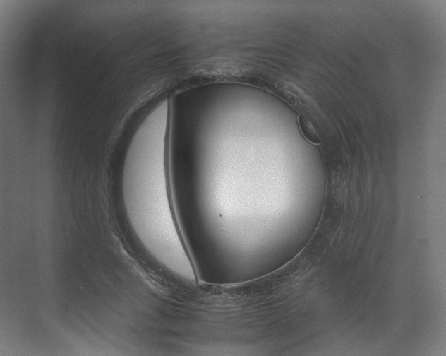 X0000072500735200607140935