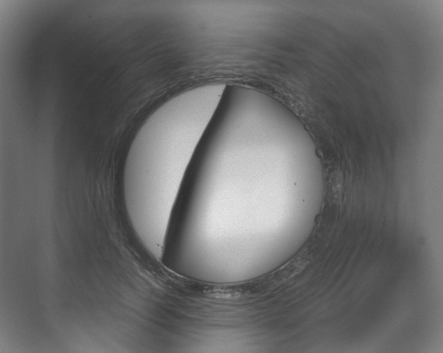 X0000072500746200607140936
