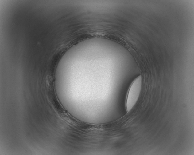 X0000072500747200607140936