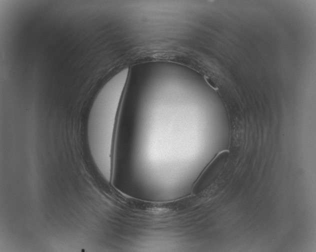 X0000072500748200607140936