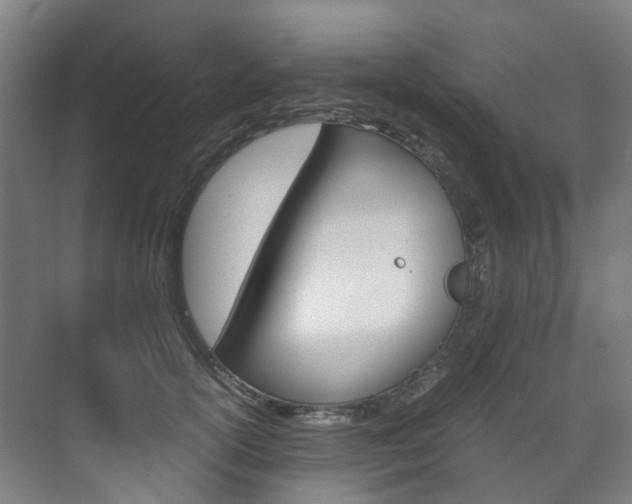 X0000072500754200607140936