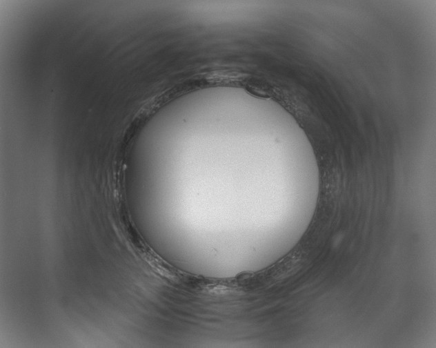 X0000072500755200607140936
