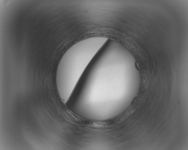 X0000072500758200607140936