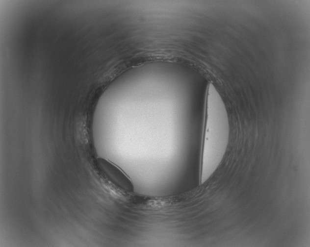 X0000072500764200607140936