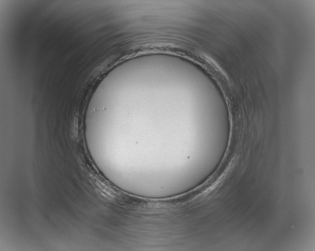 X0000072500777200607140935