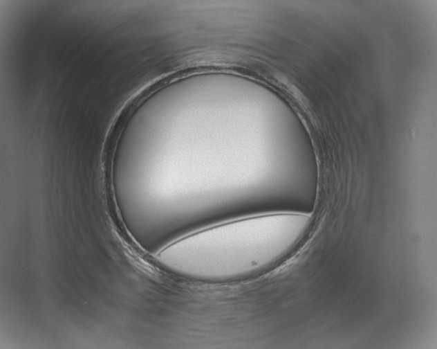 X0000072500779200607140935