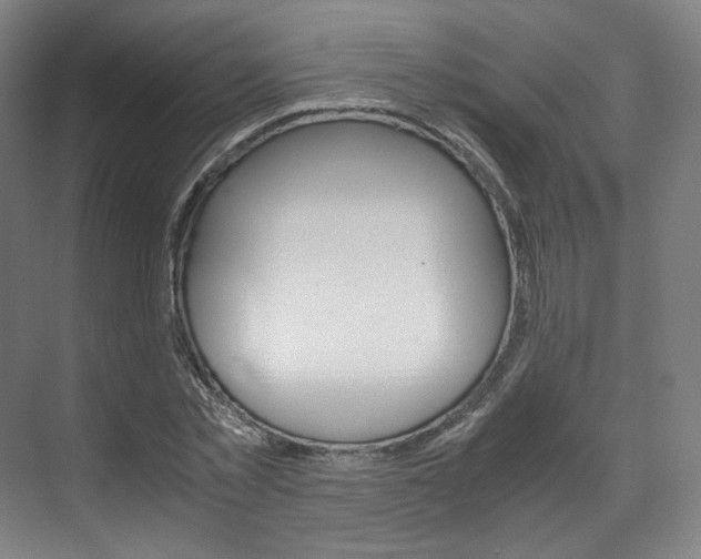 X0000072500781200607140935
