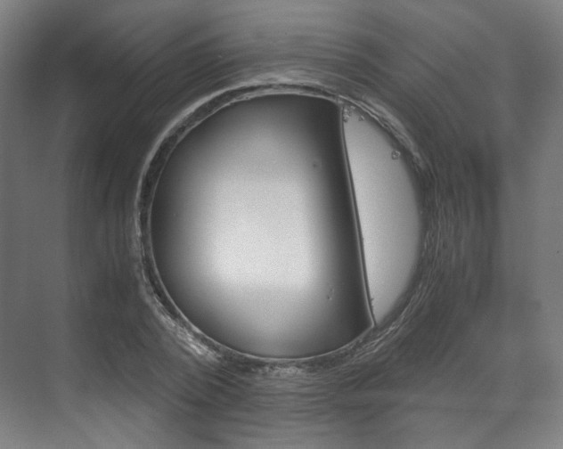 X0000072500784200607140935
