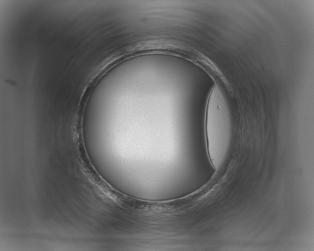 X0000072500786200607140935
