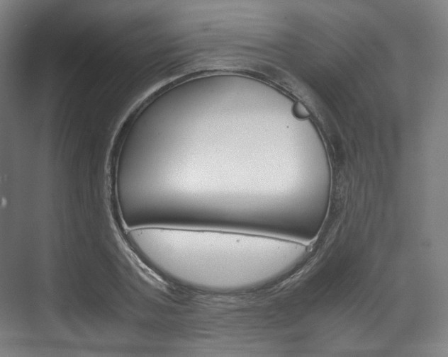X0000072500787200607140935