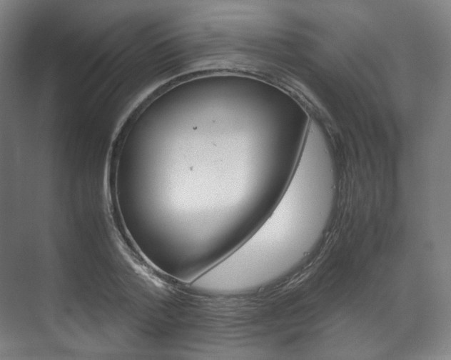 X0000072500788200607140935