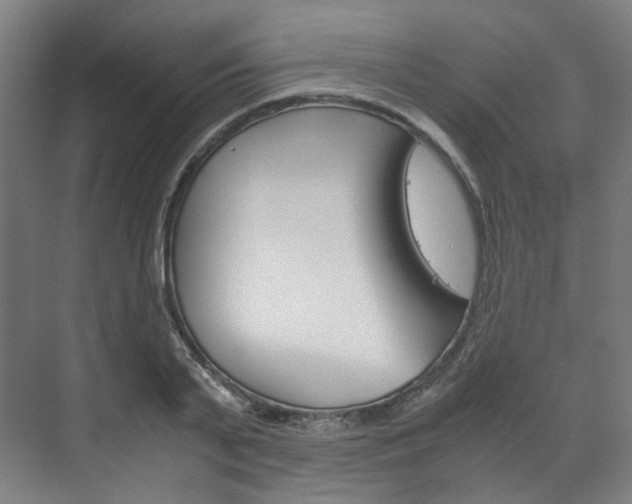 X0000072500791200607140935