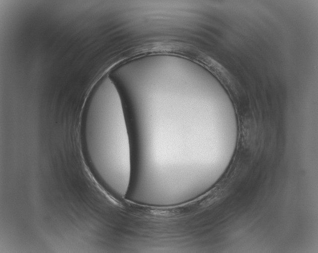 X0000072500794200607140935