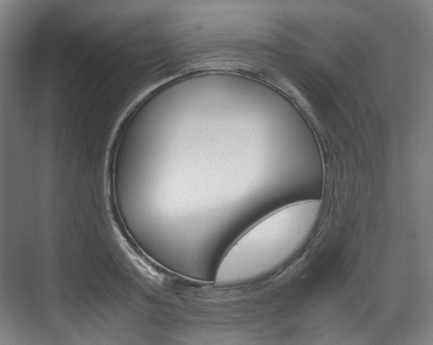 X0000072500795200607140935