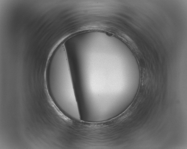 X0000072500796200607140935