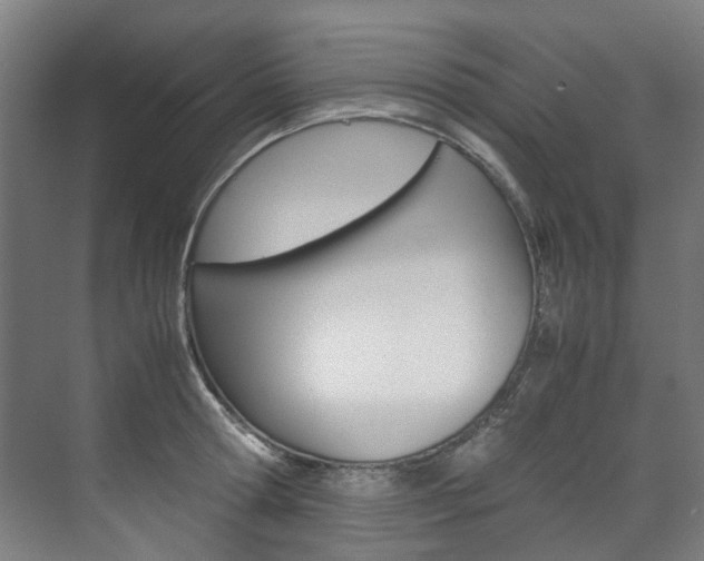 X0000072500802200607140935
